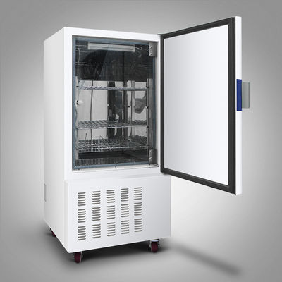 Incubadoras termostáticas automáticas de Constant Temperature Biological de la incubadora del laboratorio