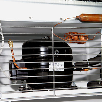 Incubadora de refrigeración biológica interna de acero inoxidable 0-65C del tío del laboratorio de la incubadora 100L