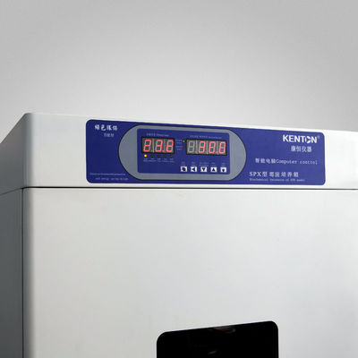 Incubadora automática de enfriamiento termostática de la demanda de oxígeno biológica de la incubadora de las bacterias