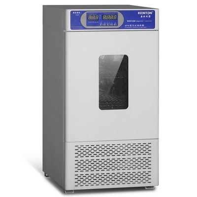 Laboratorio interno de acero inoxidable de enfriamiento de la incubadora del microorganismo de la incubadora de la cultura del tejido