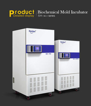 Incubadora biológica Constant Temperature Incubator 800L del laboratorio del ISO