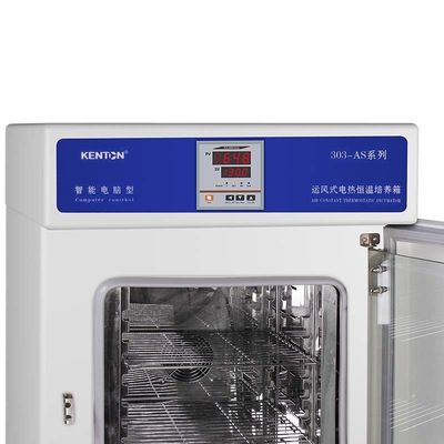 Incubadora termostática de la cultura del tejido de las bacterias de la incubadora 220V del OEM