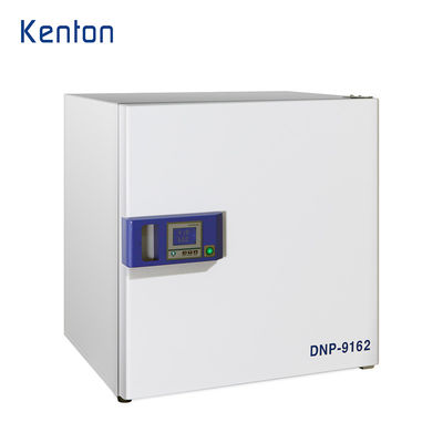 Incubadora de acero inoxidable ISO 160L Constant Temperature Incubator del laboratorio