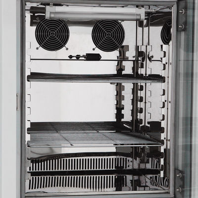 Probador alto-bajo de la cámara de la temperatura de la cámara 250L de Constant Temperature And Humidity Climatic